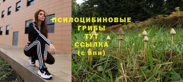 хмурый Баксан