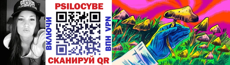 купить наркотик  Грайворон  Псилоцибиновые грибы мицелий 