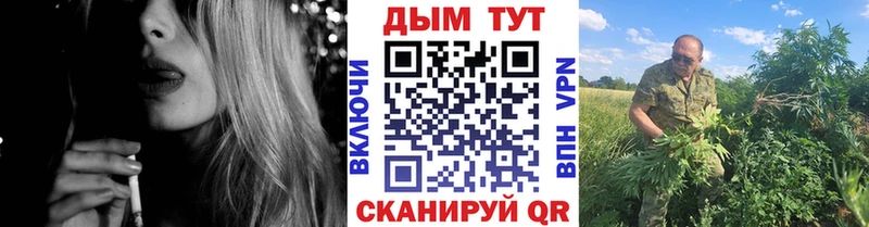 Бошки марихуана Amnesia  Грайворон 